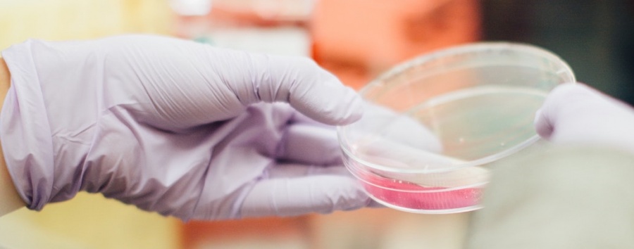 Израильская фирма разработала лекарство против плотоядных бактерий