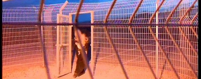 Израильские пограничники пропустили сириек с больными детьми