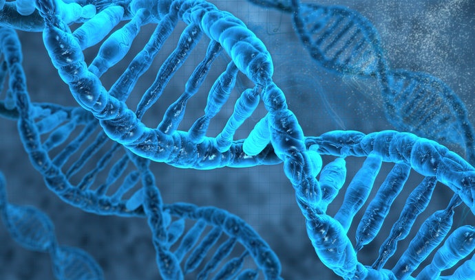 Учёные выяснили назначение "мусорной" ДНК
