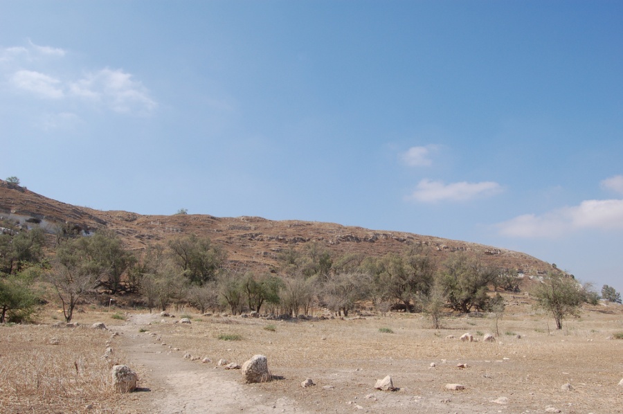 Израильские археологи нашли вход в город Голиафа