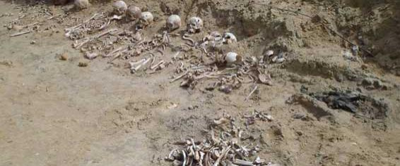 Установлено количество жертв, погребенных в общей могиле под Ковелем