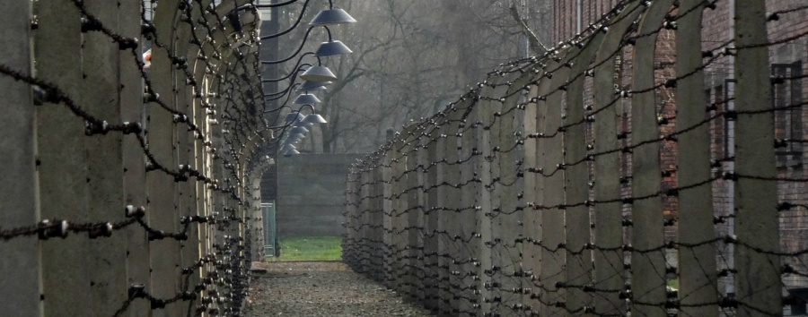 Ученые расшифровали записку узника Освенцима, работавшего в газовой камере