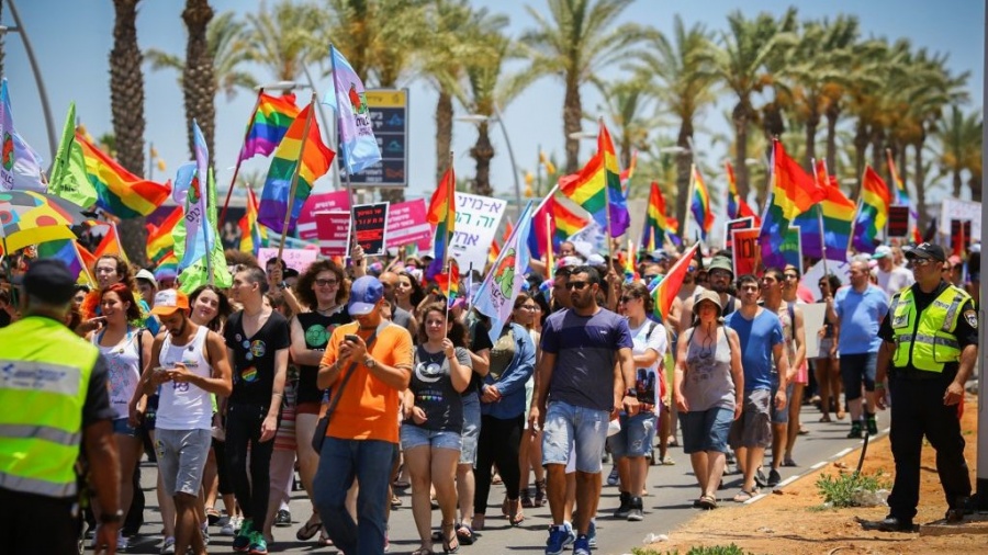 Израильские геи создали партию