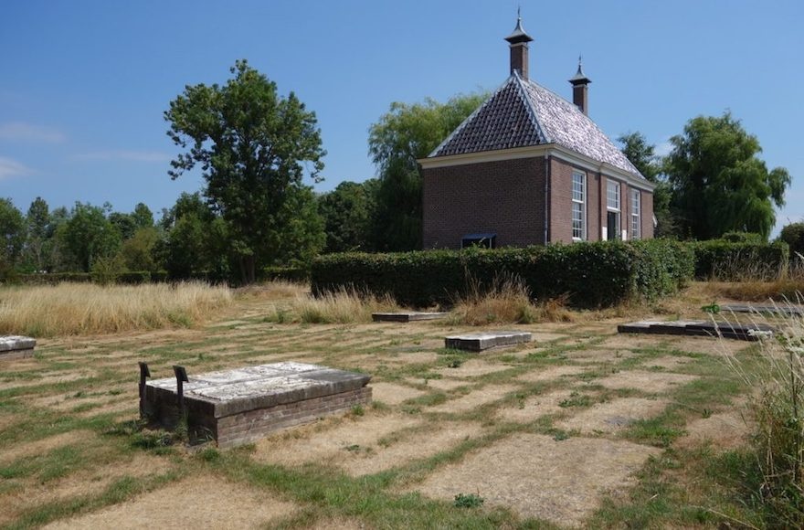 Жара помогла найти старейшее еврейское кладбище в Нидерландах