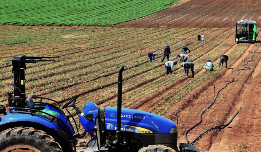 Израиль поделится с Украиной своими агротехнологиями