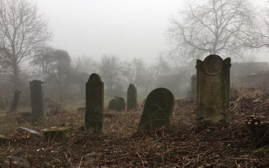 Власти Закарпатья восстановят еврейское кладбище за два месяца