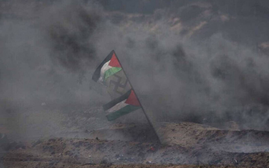 палестинский флаг со свастикой