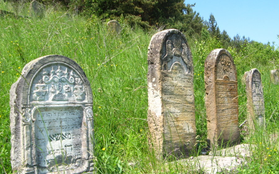 В Самборе разработают план по сохранению бывшего еврейского кладбища