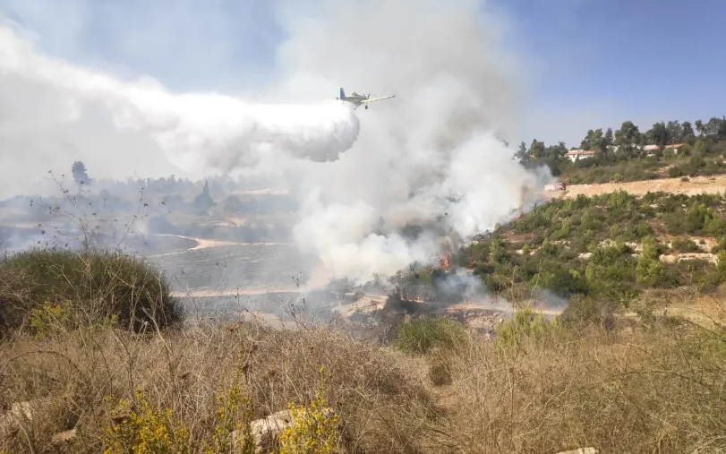 Возле Иерусалима вспыхнул мощный лесной пожар