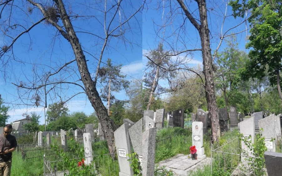 еврейское кладбище Черкассы