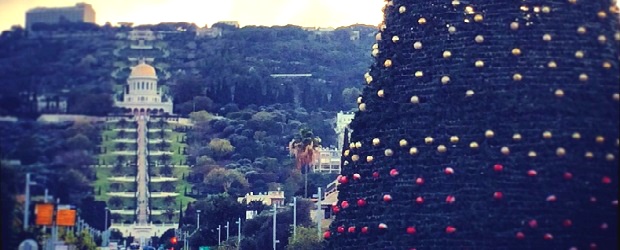В Яффо появится новогодняя елка