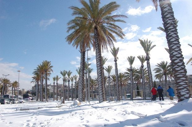 Израильтяне опустошают магазины в преддверии снегопадов