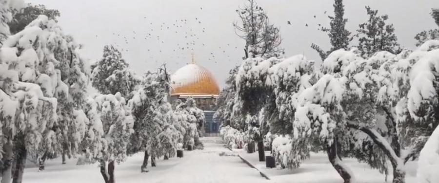 Израильтяне проснулись в снежной сказке