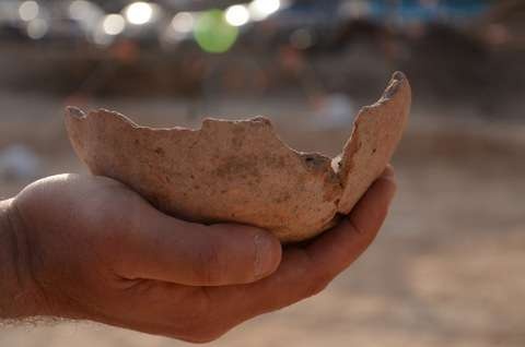 В центре Тель-Авива обнаружены следы пивоварни древних египтян