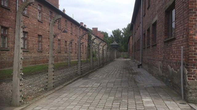 Бывшую узницу Освенцима раскритиковали за призывы прекратить суды над нацистскими преступниками