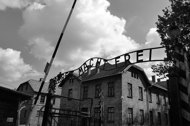 Отрицавшего Холокост мужчину обязали изучать его историю