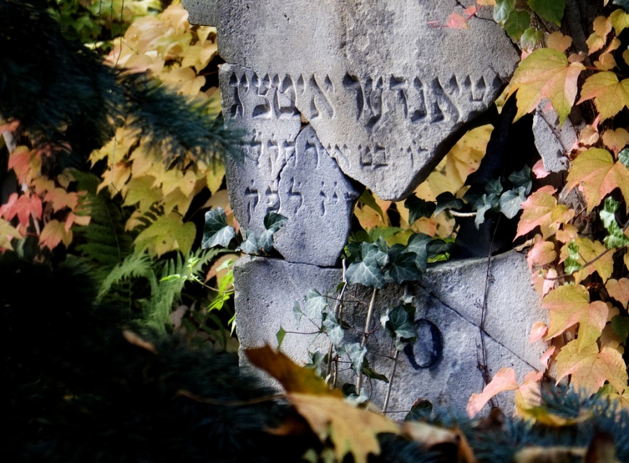 В Литве восстановили еврейское кладбище
