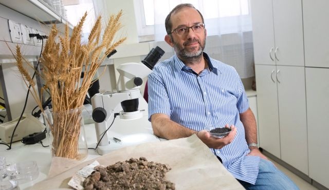 Ученые: Земледелием впервые стали заниматься в Израиле