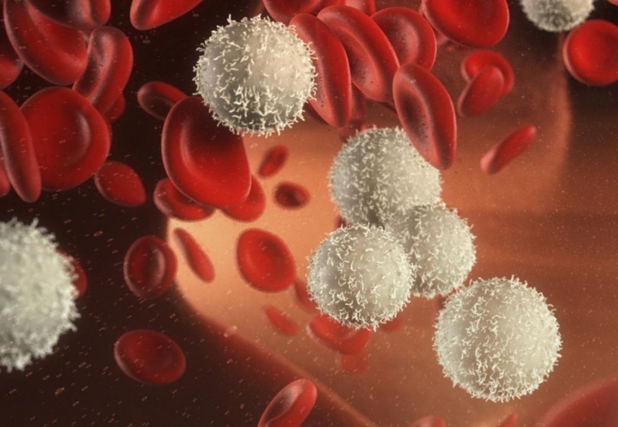 Израильские ученые разработали новый метод лечения рака крови