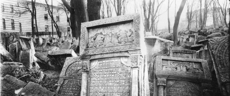 В Голландии еврейку похоронили на еврейском кладбище, которое не использовалось почти 100 лет