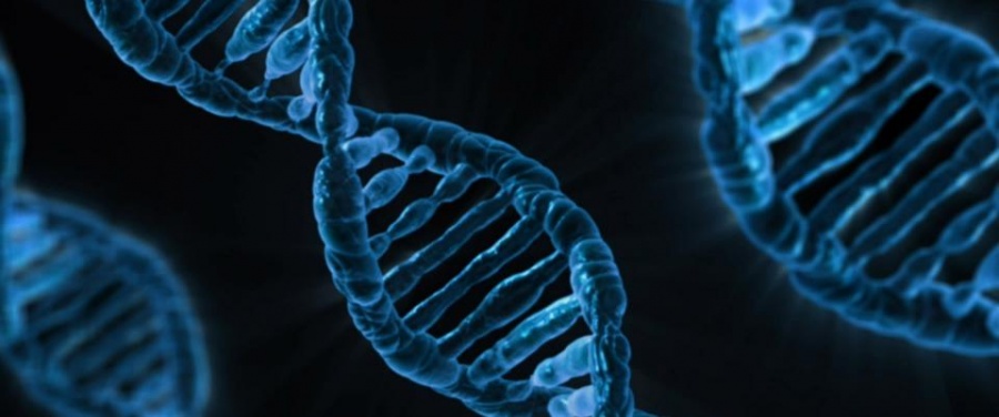 Израильские ученые нашли ген бесплодия
