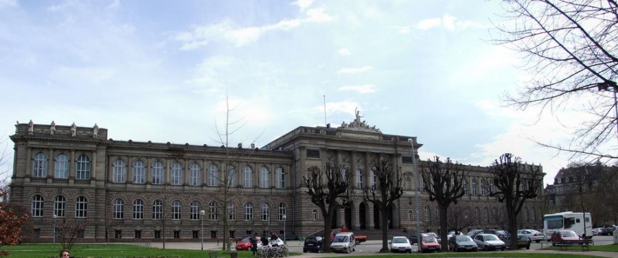Ученые: в Страсбургском университете хранятся останки жертв Шоа