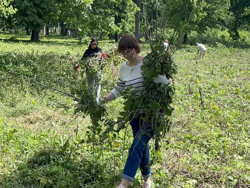єврейське кладовище, чернігів