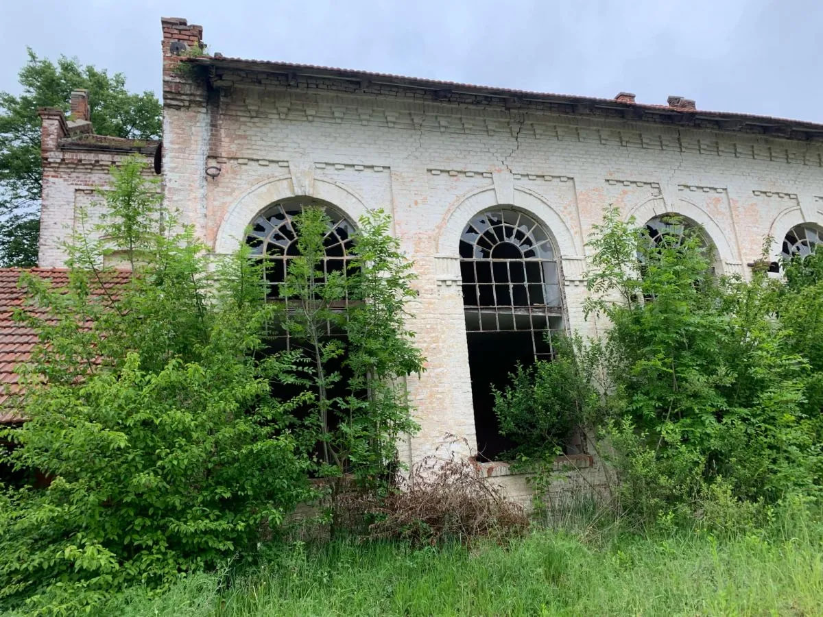 гуральня, берездівці, розділ
