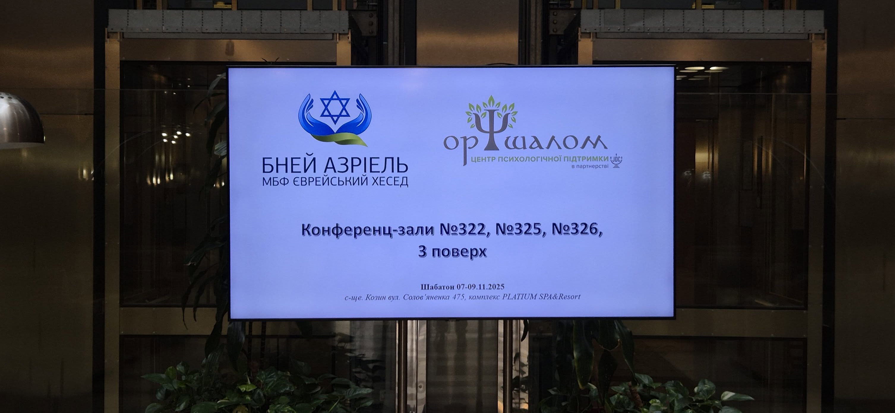 шабатон, хесед