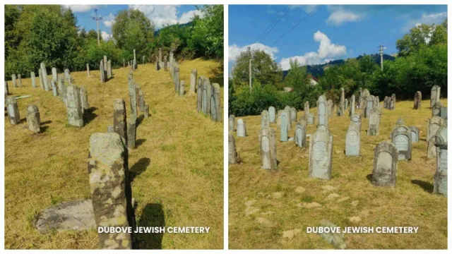 На єврейських кладовищах у Дубовому та Малій Доброні на Закарпатті покосили траву