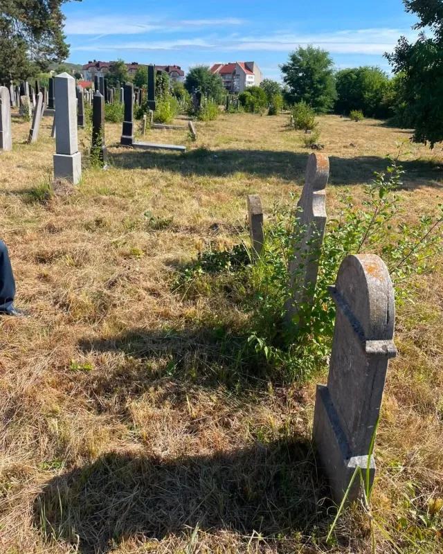 В Ужгороді відшукали поховання єврейських військовослужбовців Першої світової війни