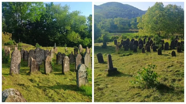 Єврейське кладовище у селі Довге на Закарпатті було прибрано для захисту 150 надгробків