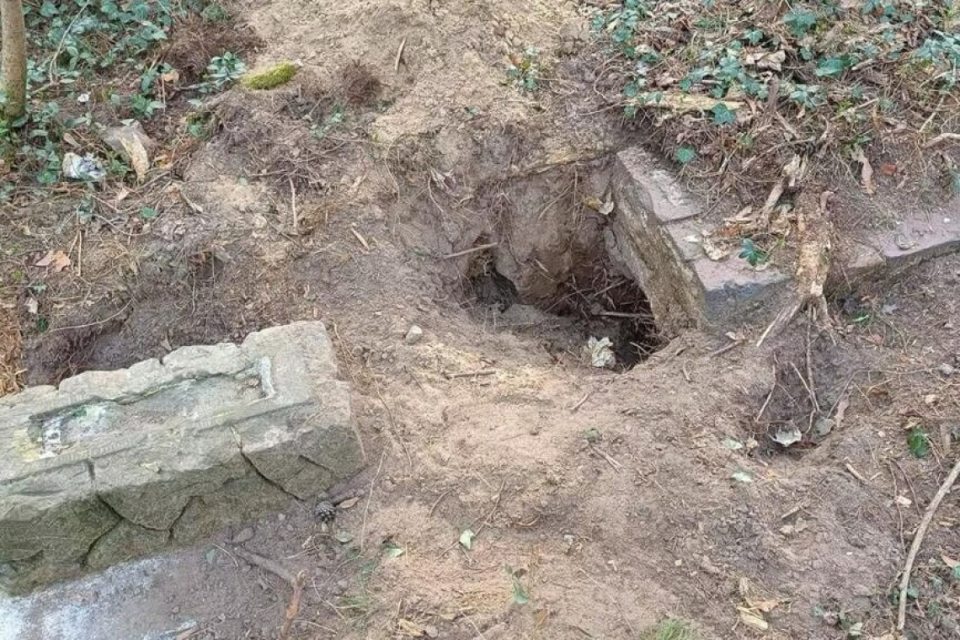 жеркув, єврейське кладовище, вандалізм