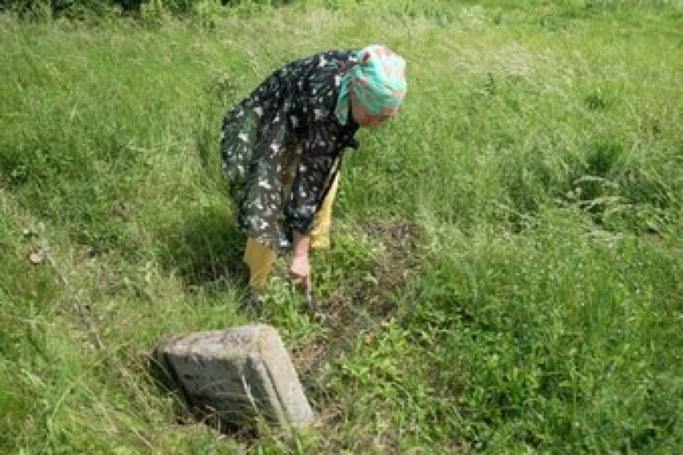 єврейські надгробки, село Жорнище, вінницька область