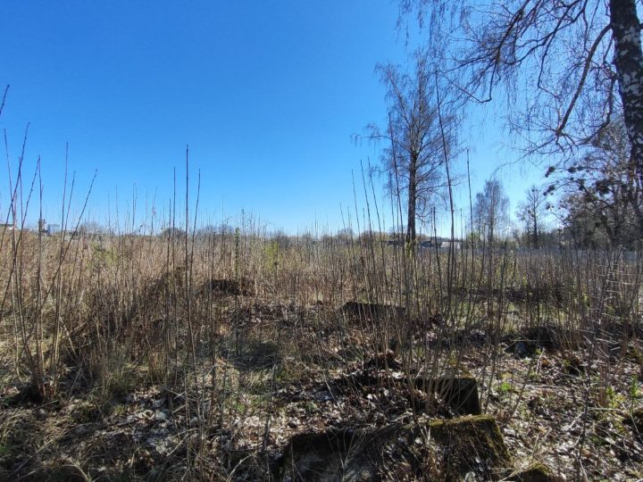 звягель, єврейське кладовище
